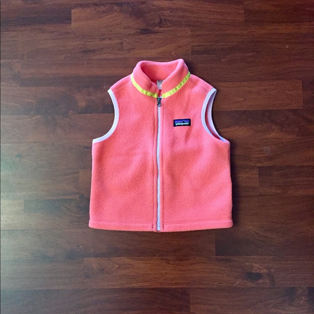 Patagonia Toddler Synchilla Vest